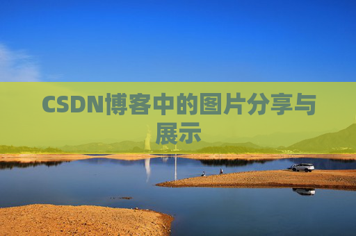 CSDN博客中的图片分享与展示